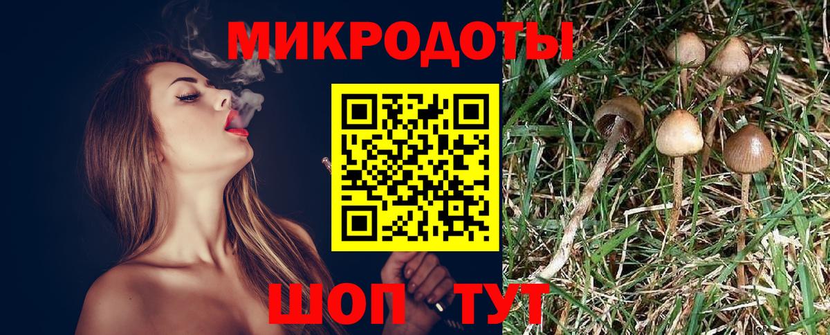 Рославль  Псилоцибиновые грибы MAGIC MUSHROOMS  Вход с VPN 